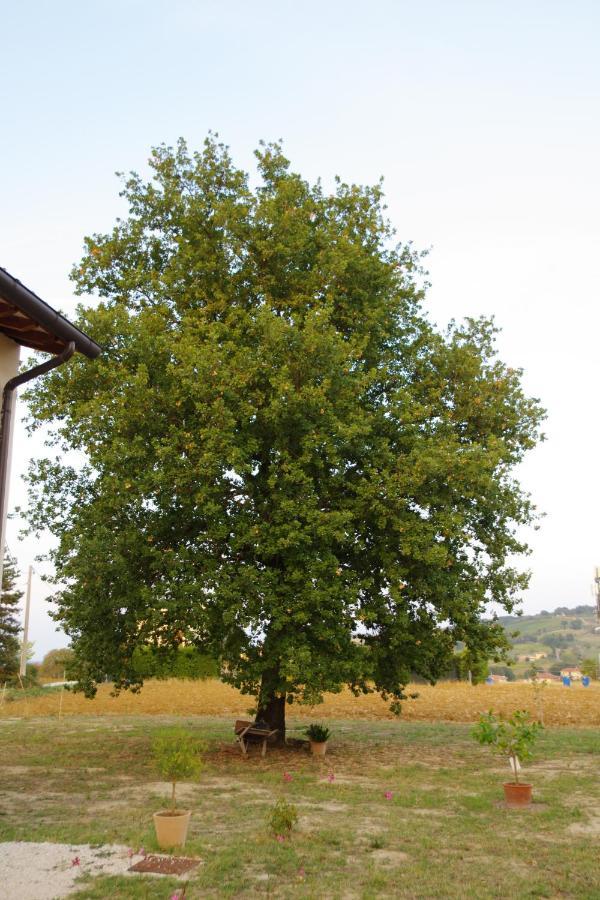 Beb Montefratta Panzió Fratta Terme Kültér fotó